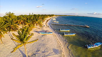 DAVID ONDAATJE - Films - Icarus